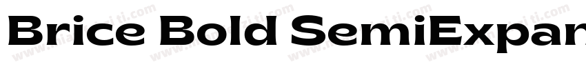 Brice Bold SemiExpanded字体转换